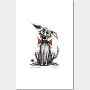 Posh paws the pooch Posters and Art